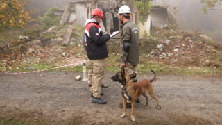 Arama Kurtarma Köpekleri Şampiyonası Çekmeköy’de Yapıldı